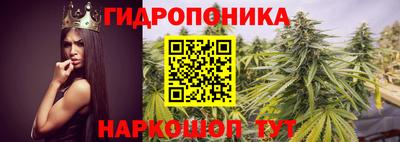 мет Гусев