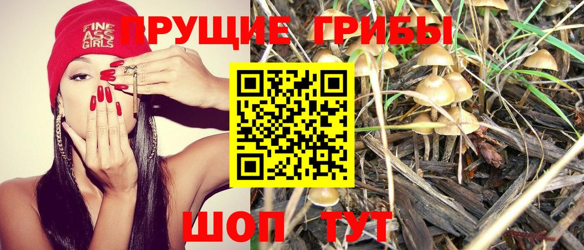 Галлюциногенные грибы мицелий Малгобек