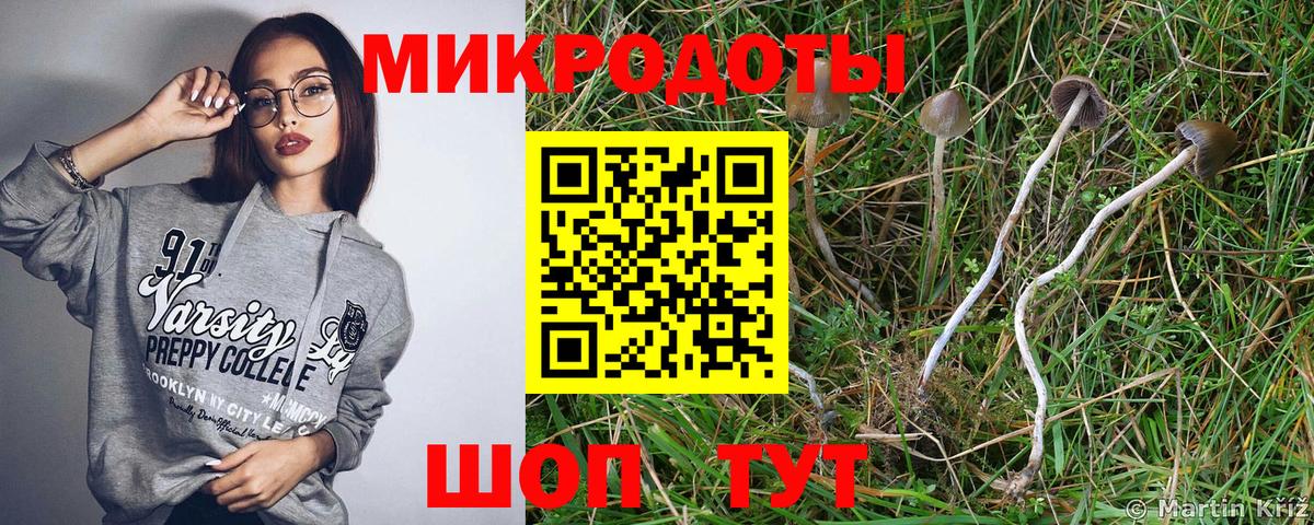 Галлюциногенные грибы мицелий  Вход с VPN  Малгобек  Псилоцибиновые грибы прущие грибы 